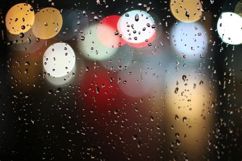 下雨前的景象|超过 1800000 张关于“下雨的景象”和“下雨”的免费图片